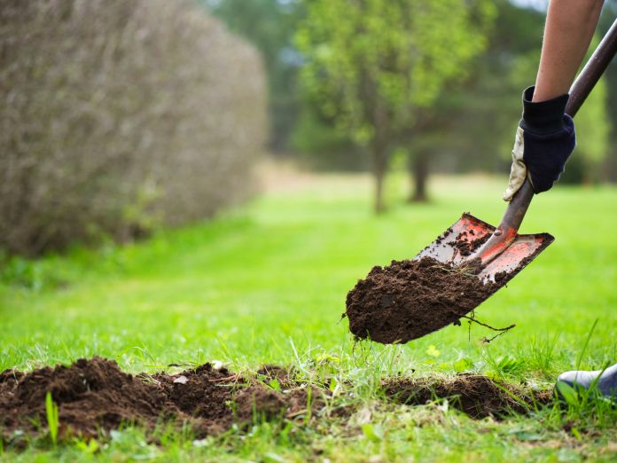 Person with shovel lifting dirt